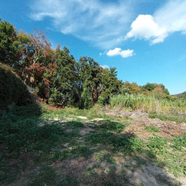 terreno agricolo in vendita a Roma in zona La Storta
