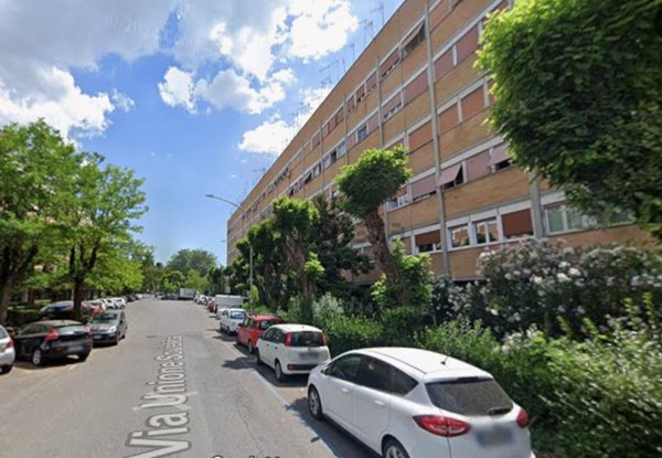 appartamento in vendita a Roma in zona Parioli