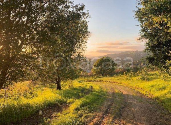 terreno edificabile in vendita a Roma in zona Ottavia