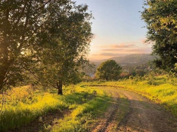 negozio in vendita a Roma in zona Ottavia