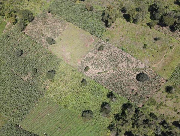 terreno edificabile in vendita a Roma in zona Tor di Quinto