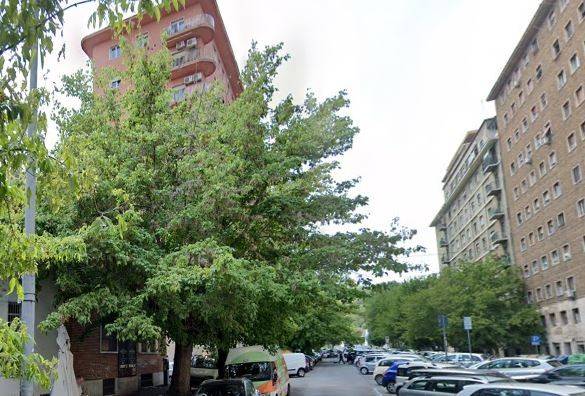 intera palazzina in vendita a Roma in zona Campo Marzio