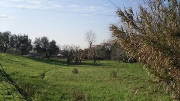 terreno edificabile in vendita a Roma in zona Casalotti