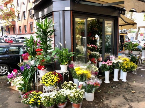 negozio in vendita a Roma in zona Flaminio