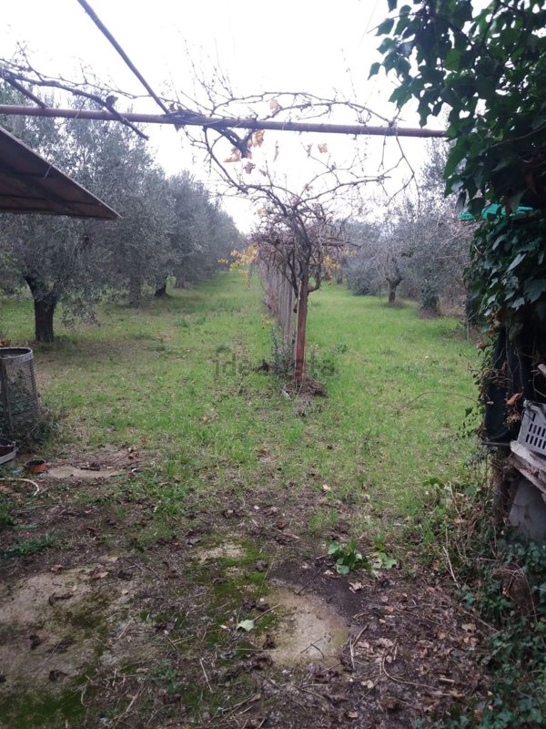 villa in vendita a Roma in zona Monte Migliore