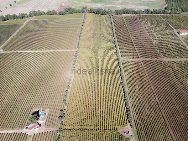 terreno agricolo in vendita a Roma in zona Selvotta