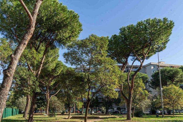 appartamento in vendita a Roma in zona Pietralata