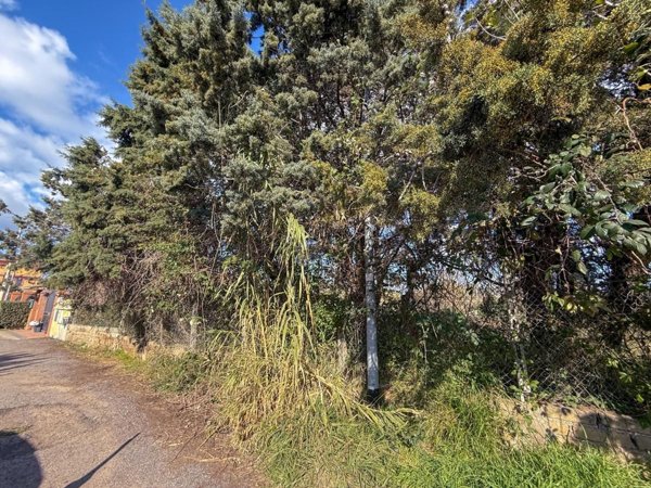 terreno edificabile in vendita a Roma in zona Ostia Antica