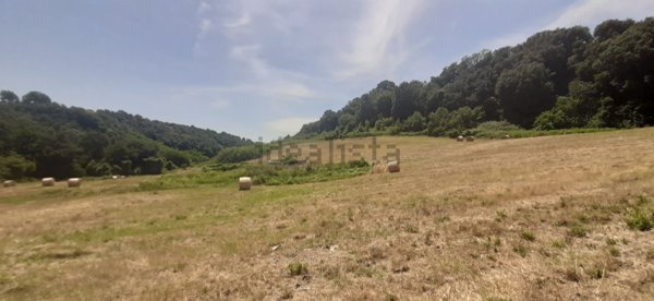 terreno agricolo in vendita a Roma in zona Cesano