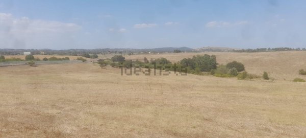 terreno agricolo in vendita a Roma in zona Olgiata