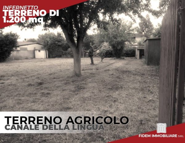 terreno agricolo in vendita a Roma in zona Casal Palocco