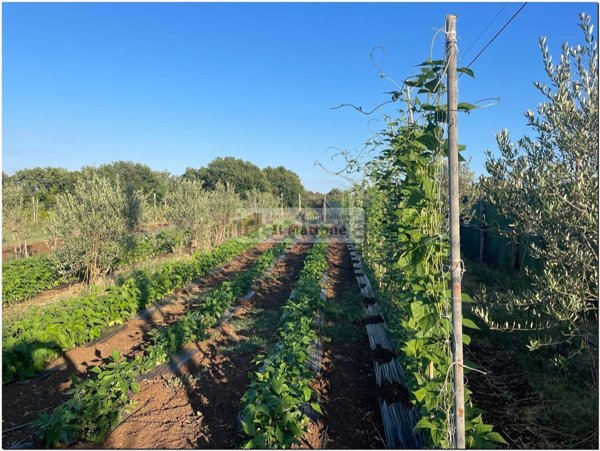 terreno agricolo in vendita a Roma in zona Trigoria