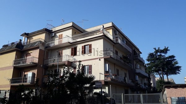appartamento in vendita a Roma in zona Tor Vergata/Torrenova