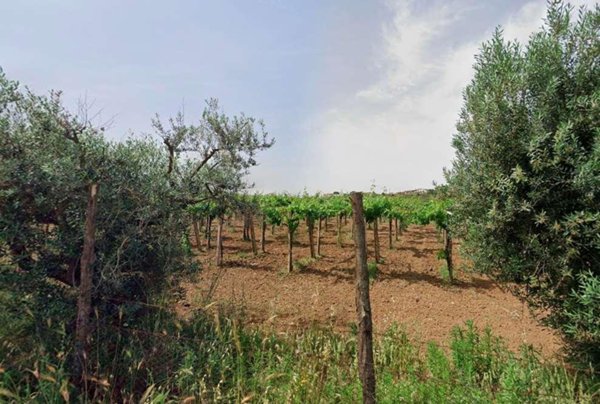 terreno agricolo in vendita a Roma in zona Finocchio