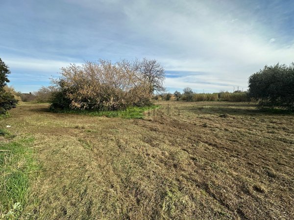terreno edificabile in vendita a Roma in zona Monte Migliore
