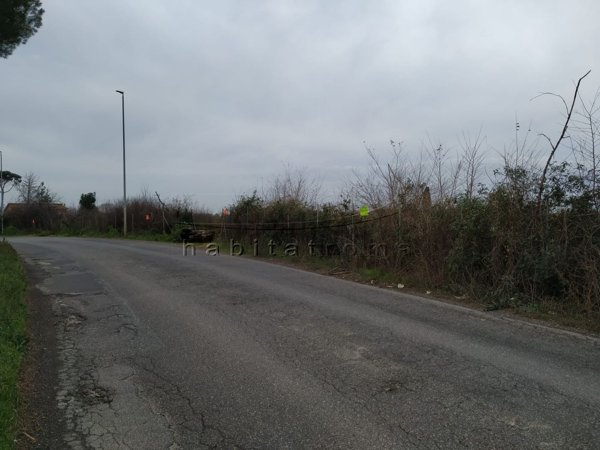 terreno agricolo in vendita a Roma in zona La Storta