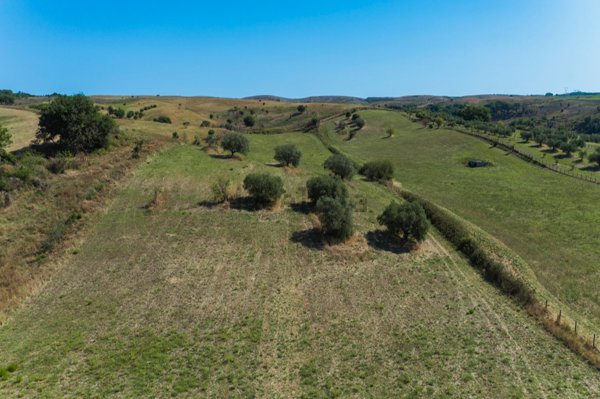 terreno agricolo in vendita a Roma in zona Cesano