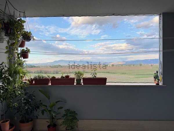 appartamento in vendita a Roma in zona Tor Bella Monaca