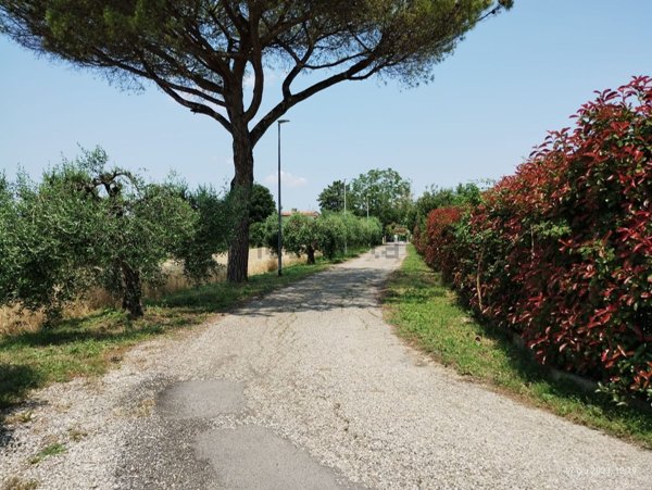 terreno agricolo in vendita a Roma in zona Ponte Galeria