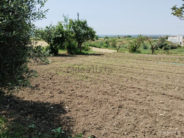 terreno agricolo in vendita a Roma in zona Portuense