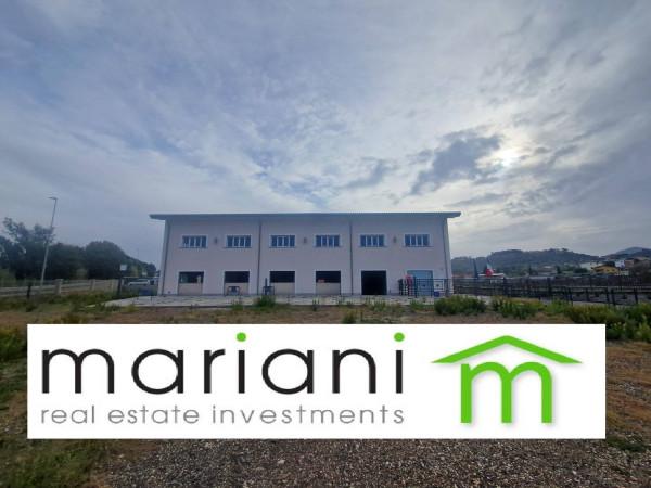 negozio in vendita a Roma in zona Torre Angela