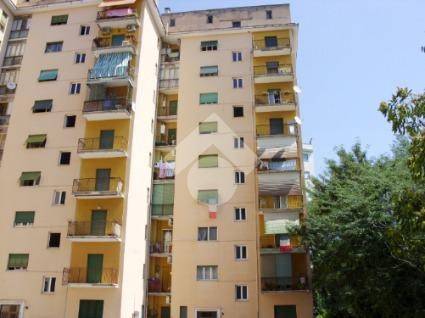 appartamento in vendita a Roma in zona Tiburtino
