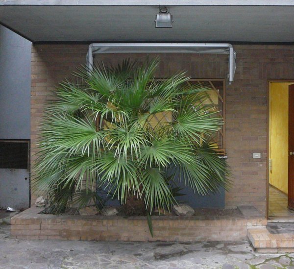 appartamento in vendita a Roma in zona Tor di Valle