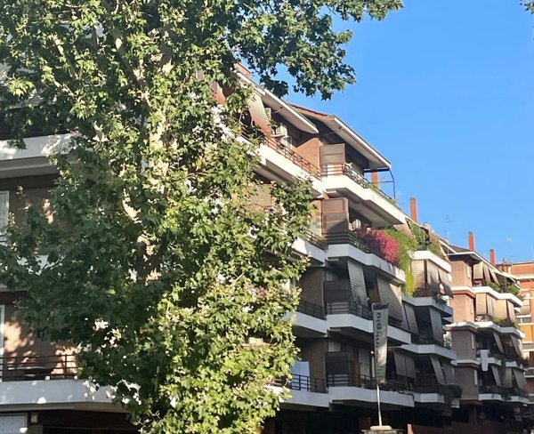 appartamento in vendita a Roma in zona Ponte Mammolo