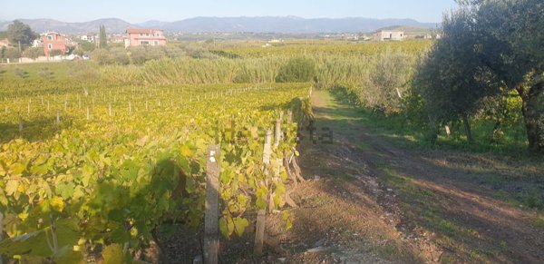 terreno agricolo in vendita a Roma in zona Finocchio