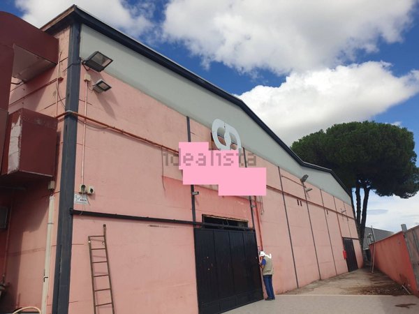 capannone in vendita a Roma in zona Tor Vergata/Torrenova