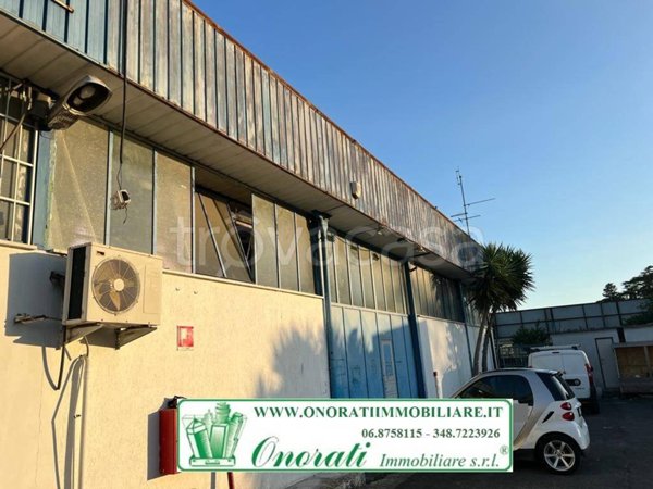 negozio in vendita a Roma in zona Torre Angela