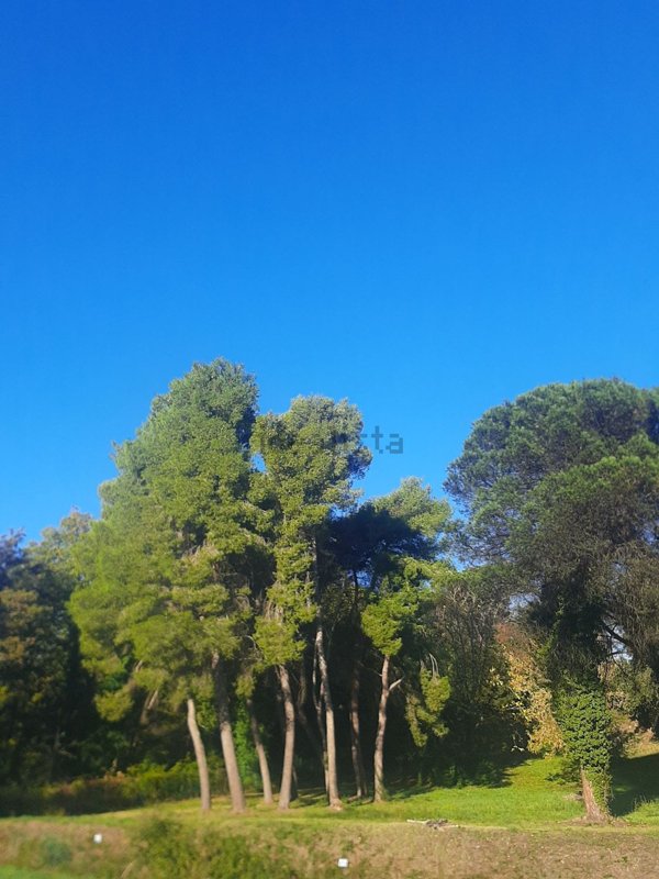 appartamento in vendita a Roma in zona La Storta