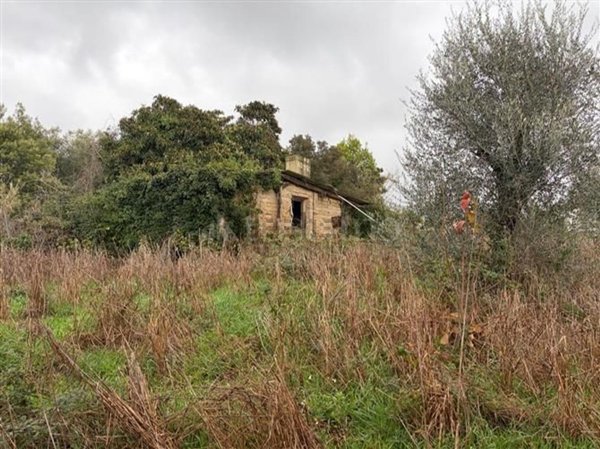 casa indipendente in vendita a Roma in zona Casalotti
