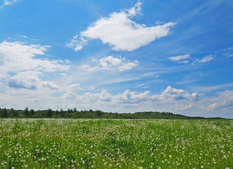 terreno agricolo in vendita a Roma in zona Acilia