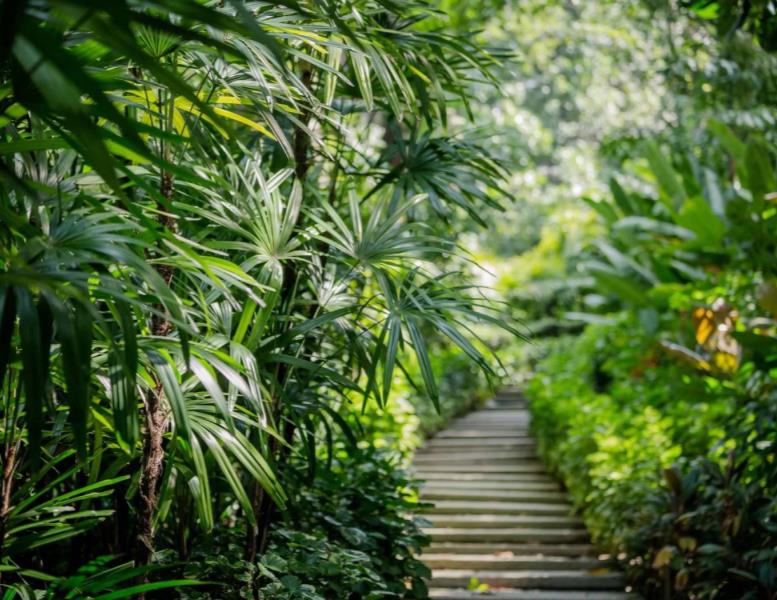 appartamento in vendita a Roma in zona Della Vittoria