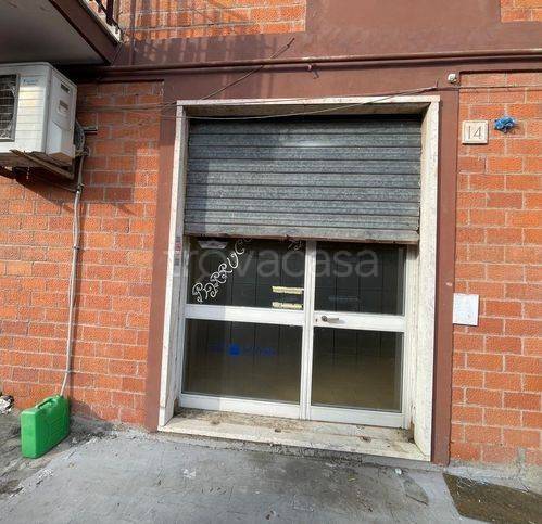 negozio in vendita a Roma in zona Selva Candida