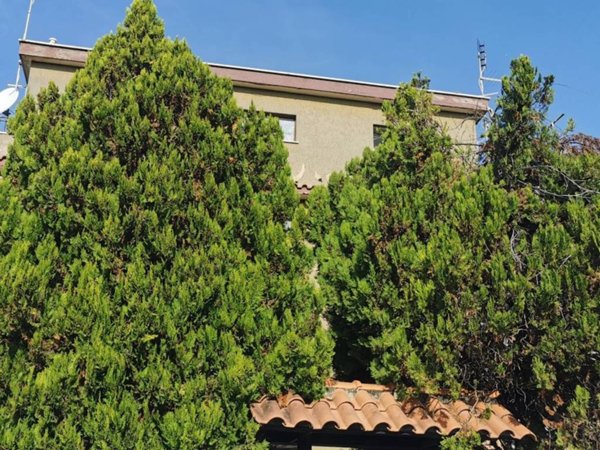 appartamento in vendita a Roma in zona Acilia