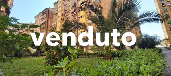 appartamento in vendita a Roma in zona Pietralata