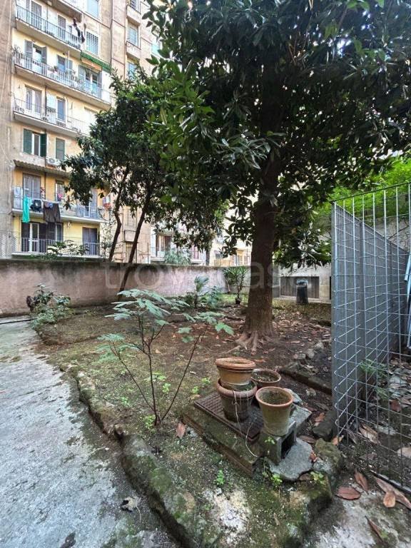 appartamento in vendita a Roma in zona Della Vittoria
