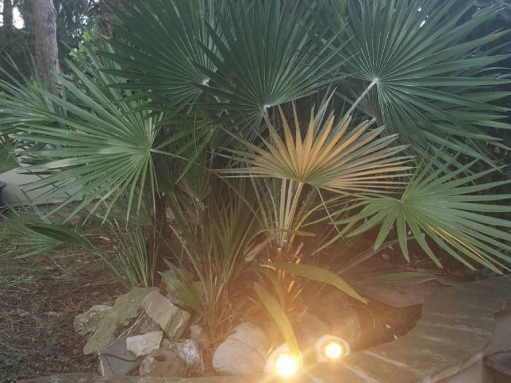 appartamento in vendita a Roma in zona Tor di Quinto