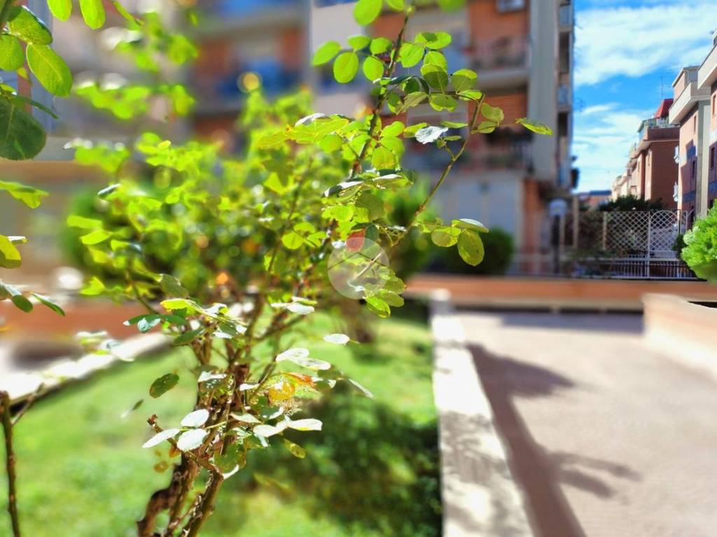appartamento in vendita a Roma in zona Monte Sacro/Talenti