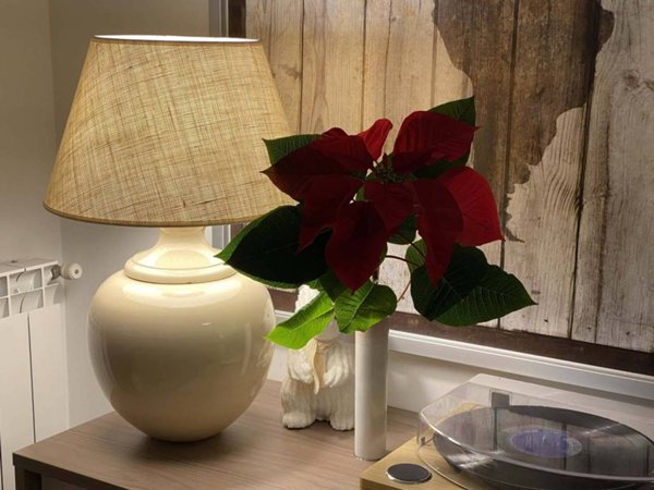 appartamento in vendita a Roma in zona EUR