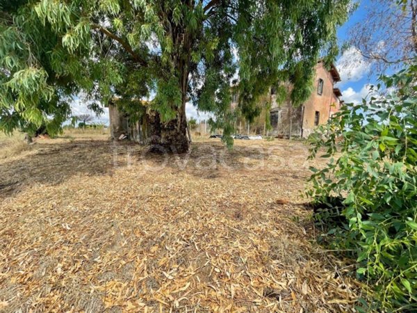 casa indipendente in vendita a Roma in zona Casalotti