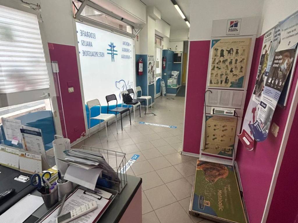 negozio in vendita a Roma in zona Casal Monastero