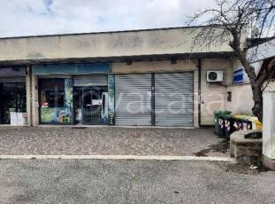 negozio in vendita a Roma in zona Trigoria
