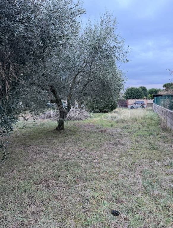 terreno agricolo in vendita a Roma in zona Case Rosse