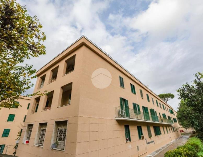 appartamento in vendita a Roma in zona Monte Sacro/Talenti