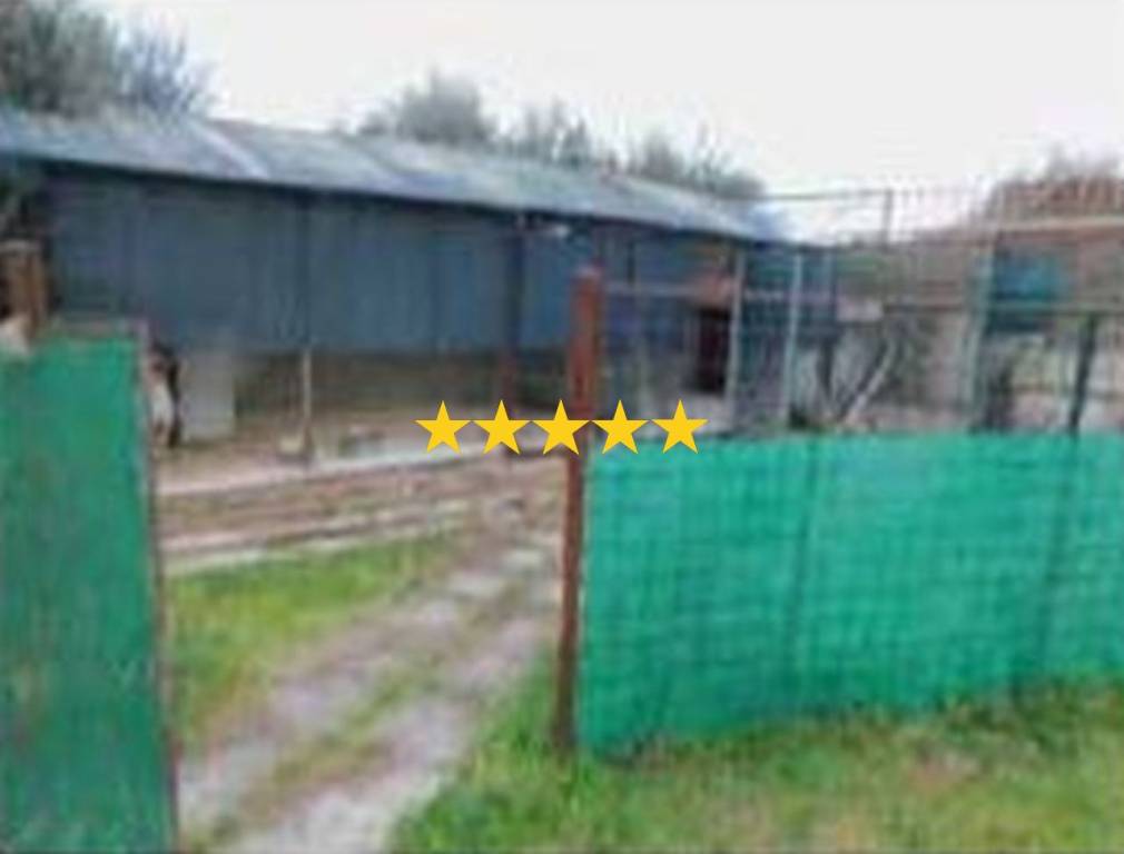 terreno agricolo in vendita a Roma in zona Collatino