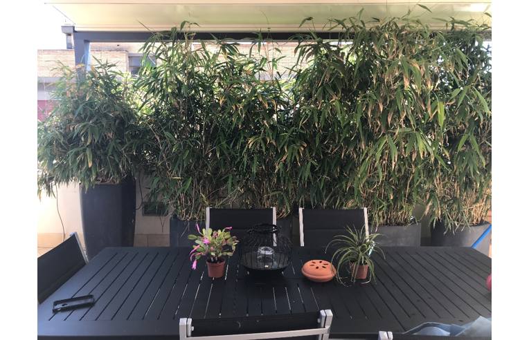 appartamento in vendita a Roma in zona Cesano