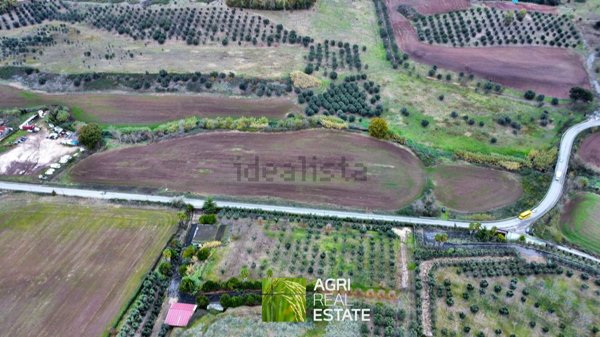 terreno agricolo in vendita a Roma in zona Castel di Leva